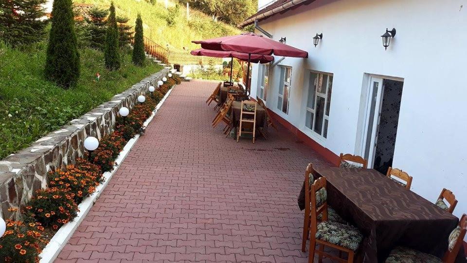 Pensiunea Tinelu Brasov Săcele Exterior foto
