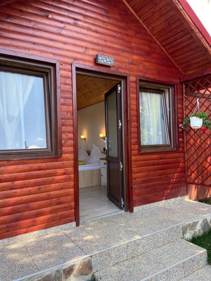 Pensiunea Tinelu Brasov Săcele Exterior foto