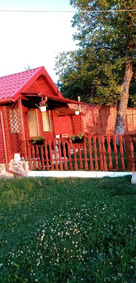 Pensiunea Tinelu Brasov Săcele Exterior foto